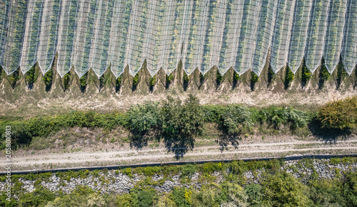 Abstract aerial pattern of protected fruit orchard rows covered with anti hail nets in Southern France