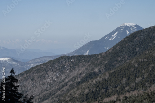 Snow-capped mountain peaks with coniferous forest in winter, Japanese Alps panoramic landscape under clear blue sky