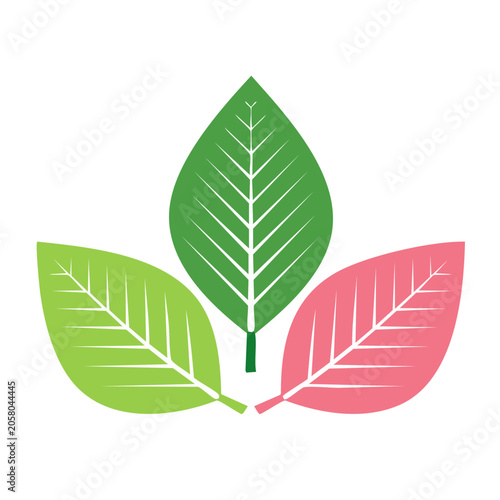 Three colorful leaves icon on transparent background