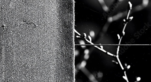 Black and white close up of fabric texture contrasted with bare branches