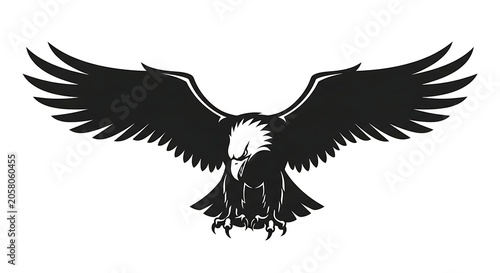 Black and white eagle with wings spread wide.