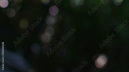 Принти на полотні Abstract dark green background with soft glowing light orbs and bokeh effect for