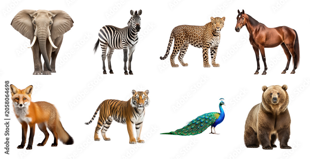 Obraz premium PNG Diverse wildlife animal collection on transparent background