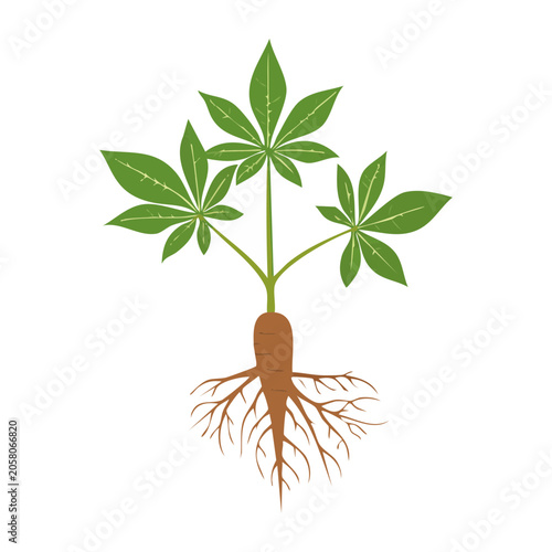 Flat design vector of a carrot with green leaves