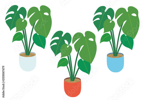 観葉植物モンステラのイラストセット