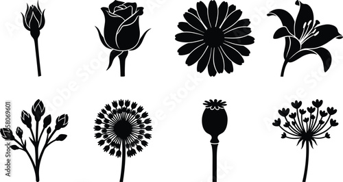 Foto Black flower silhouette collection featuring rose lily daisy dandelion and poppy