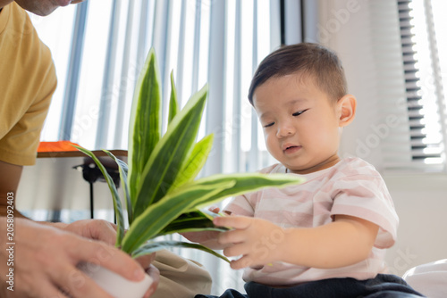 
Warm sunlight streams through blinds. Family of three smiles softly in cozy room. Mother holds infant close, father looks lovingly on. Green plant adds freshness to minimalist shelves

