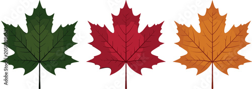 Autumn Maple Leaf Icon Set with Green Red and Orange Foliage for Canadian National Heritage Symbols, Thanksgiving Day Seasonal Branding, and Fall Nature Vector Graphic DesignsAutumn Maple Leaf Icon Se