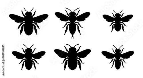 фотографія Bee silhouette icon set, insect vector illustration, white background