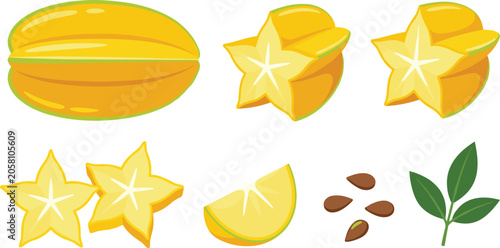 Obraz na plátně Starfruit collection with whole fruit slices seeds and leaves isolated tropical