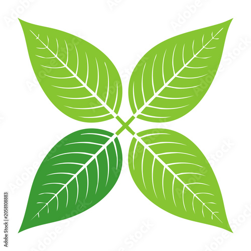 Four Green Leaves in Symmetrical Flat Design