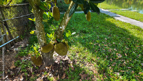 A vibrant scene featuring a tree adorned with unique yellowish growths surrounded by lush green grass by a serene water body.