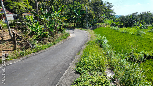 Winding pathway surrounded by lush greenery under a clear blue sky