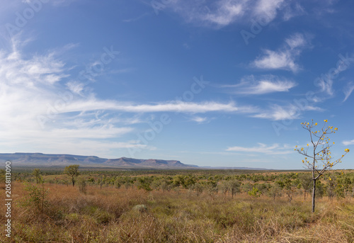 The sananna woodlands in the Kimberleys with the Cockburn Range in the background viewed from the Gibb River road.
