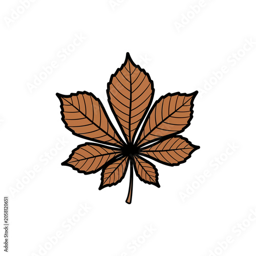 Foto Dried Chestnut Leaf Vector Graphic