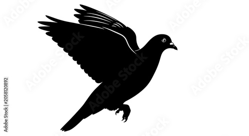 Majestic black eagle in flight against white background.