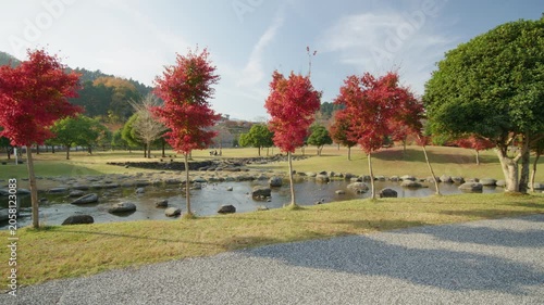 秋の宮ヶ瀬湖畔園地 紅葉 Autumn foliage at Miyagase Lakeside Park