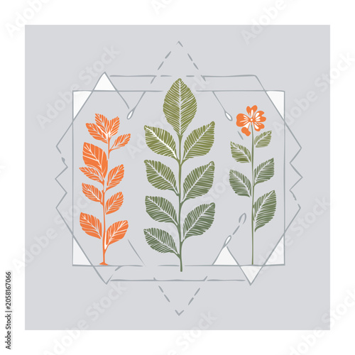 Minimalist botanical line art illustration with geometric frame