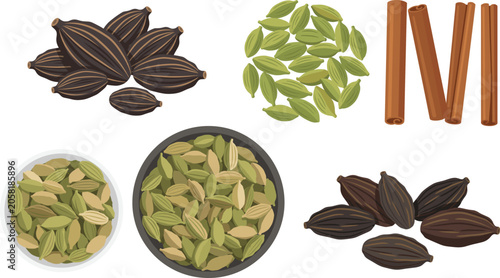 Flat vector illustration of whole spices, cardamom and cinnamon, for culinary design.