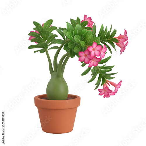3D Render of a Desert Rose Plant with Pink Flowers in a Terracotta Pot