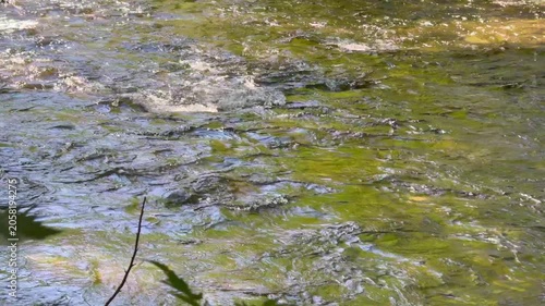 Footage of water flowing downstream from a shallow river, top view 