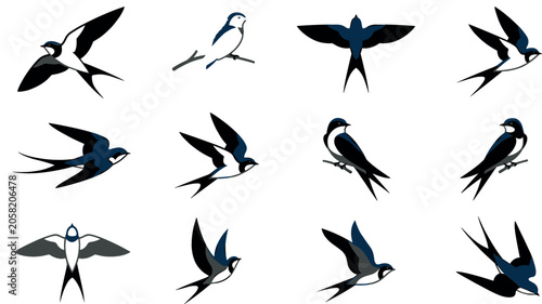 Obraz na plátne Barn swallow bird vector icon collection featuring flying and perched swallows martin silhouettes fork tail shapes and migratory nature wildlife elements