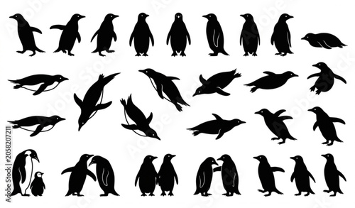 Canvastavla Penguin silhouette collection with various poses vector isolated on white backgr