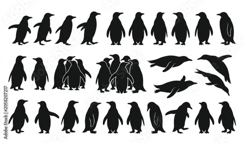 Photos Penguin silhouette collection with various poses vector isolated on white backgr