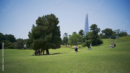 Summer landscape at Olympic Park in Seoul with Lotte World Tower in the background, South Korea