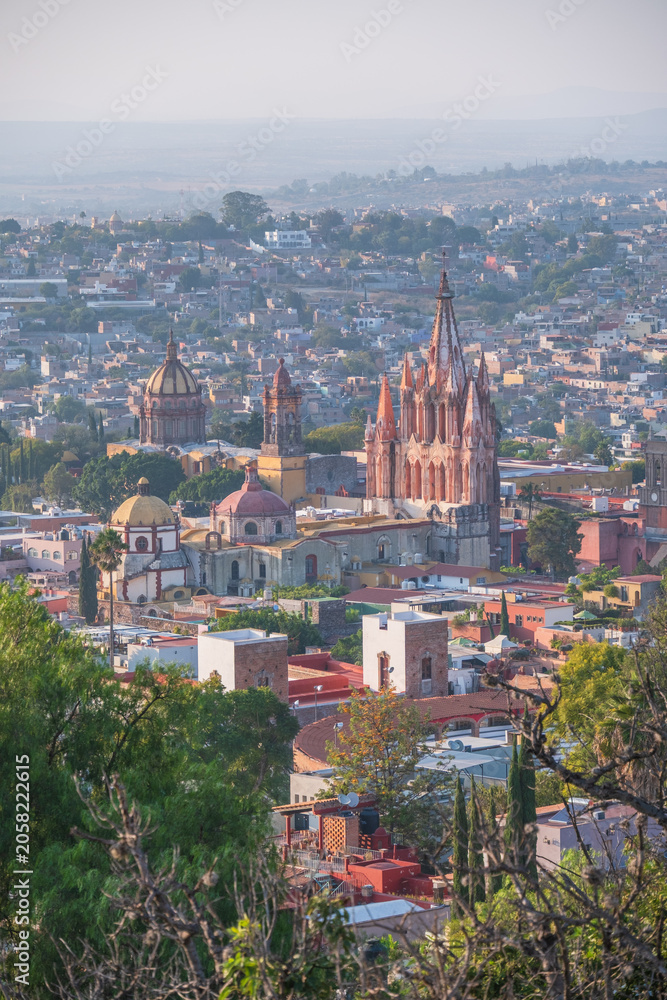 Fototapeta premium landmark scenery of San Miguel Cathedral, Mexico