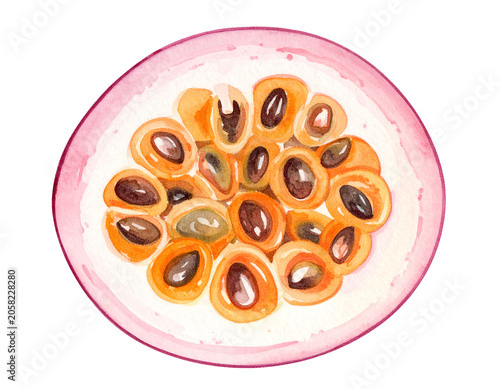 Watercolor illustration of halved passion fruit with orange glossy pulp dark seeds pink tropical rind and fresh juicy detail on isolated background