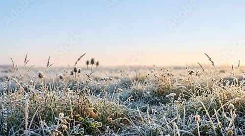 Frost Covered Meadow at Sunrise