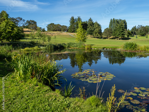 pond and golf course