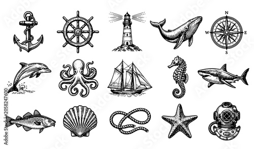 Photography Vintage marine icon collection featuring sea animals nautical objects and ocean