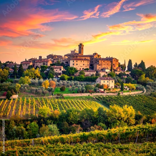 A picturesque Italian hilltop town with a vineyard in the foreground