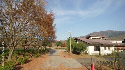 秋の宮ヶ瀬湖畔園地 紅葉 Autumn foliage at Miyagase Lakeside Park