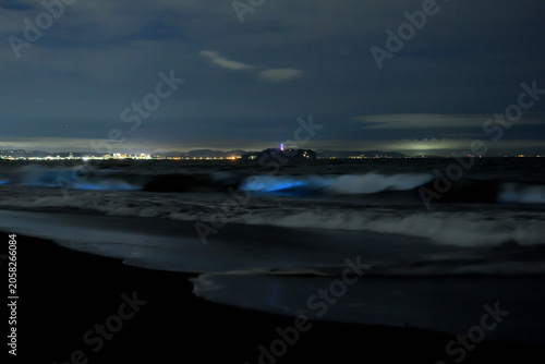 夜光虫で光る波と江の島