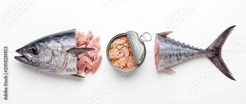 Concept of fresh tuna turning into canned fish minimal composition