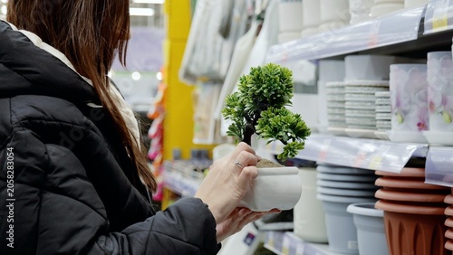 Konstfotografi Customer contemplating purchase of small bonsai tree in the supermarket garden d