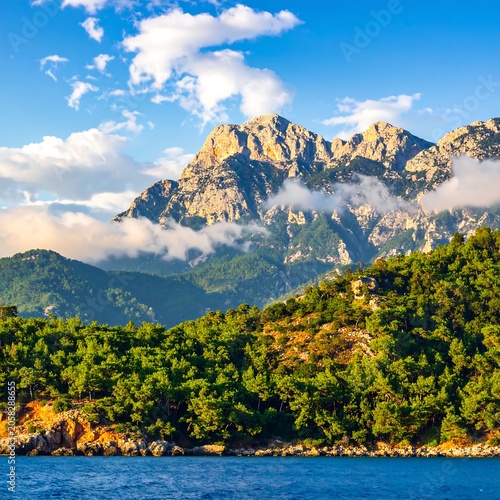 A serene landscape featuring a mountain range behind a lush forest and a body of water