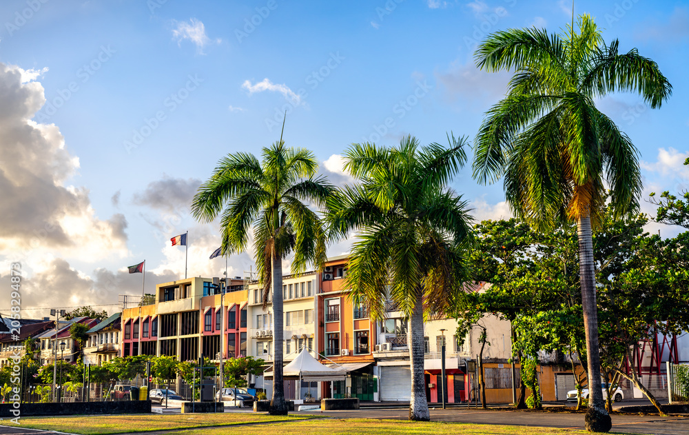 Obraz premium View of colorful urban buildings and tall palm trees at La Savane Park in Fort de France, Martinique, under a blue sky.