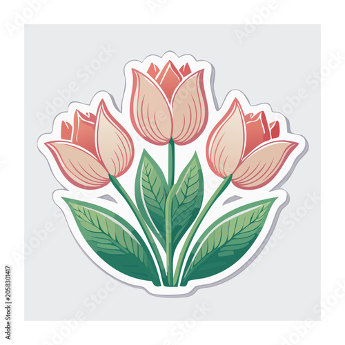 Pink Tulip Flowers with Green Leaves Illustration