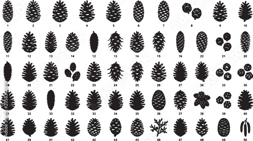 Bild auf Leinwand Diverse Pine Cone Vector Icons Collection, 50 Elements, Natural Forest Botanical