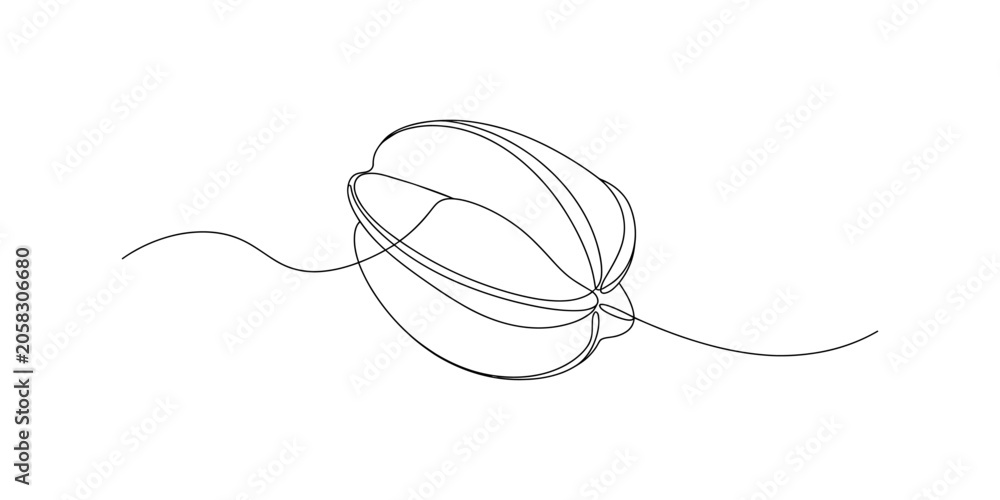 Obraz premium Continuous line drawing of a simple single star fruit