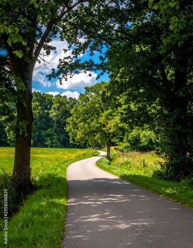 A serene paved pathway curves through a lush green landscape