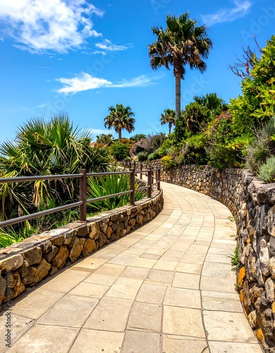 A serene walkway with palm trees and greenery under a blue sky