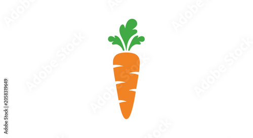 Flat orange carrot with green top.