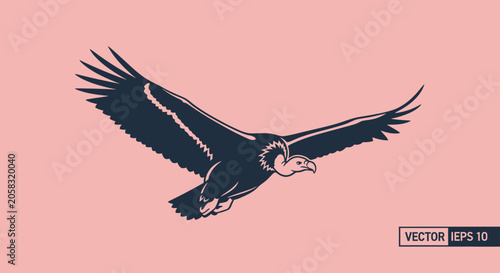Bild auf Leinwand Flying vulture bird of prey on pink background.