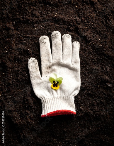 A white gardening glove with red trim lies on dark soil with a small green sprout