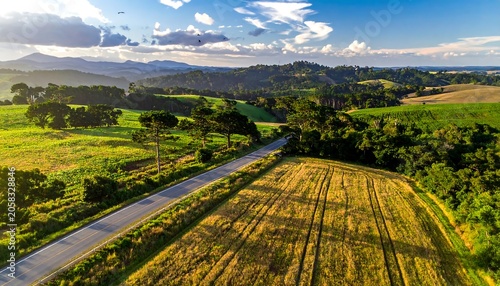 Aerial view of a winding road through green fields and trees